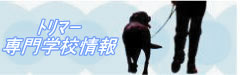 トリマー専門学校情報